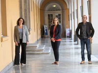 Direktorium des CESOC