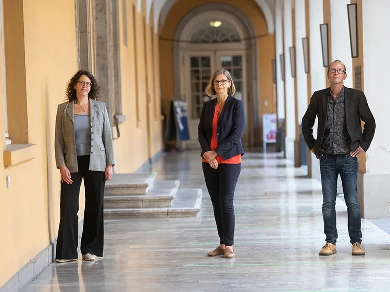 Direktorium des CESOC