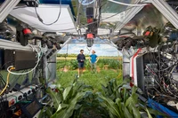 Mit Robotern und KI für bessere Nahrungsmittelversorgung