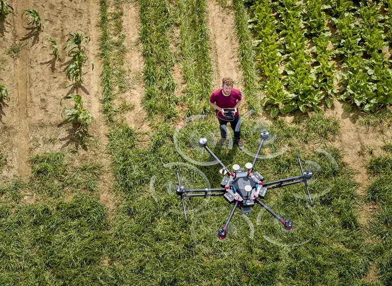 The PhenoRob Cluster of Excellence is working on solutions for the agriculture of tomorrow.