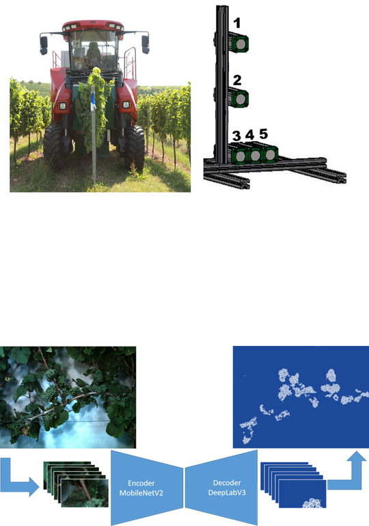 Phenotyping_Viticulture_image.png