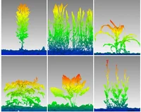 FieldPheno4D_teaserimage2cut.webp